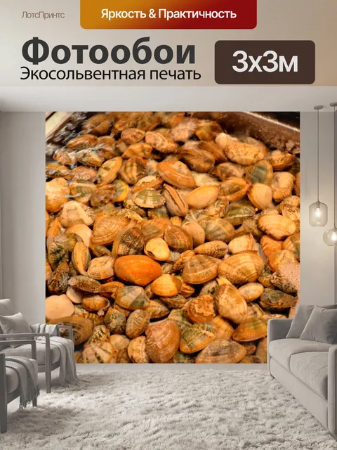 Фотообои Малый моллюски