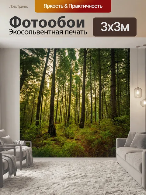 Фотообои величественный лес с высокими деревьями, ветра ловят музыку, окруженные мягкие звуки природы