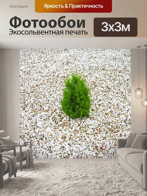 Фотообои небольшое зеленое дерево