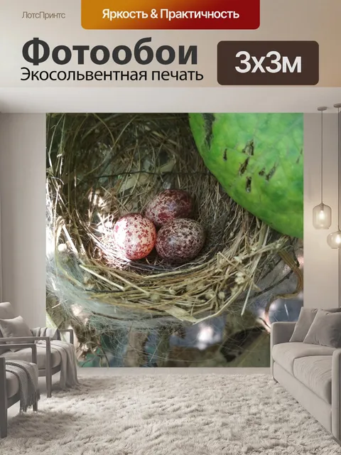 Фотообои В моем саду
