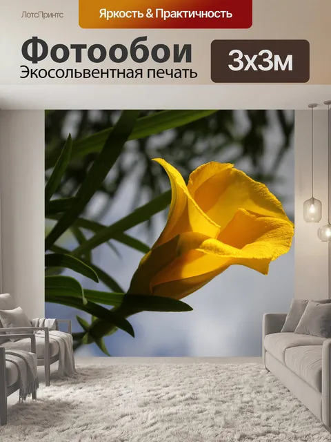 Фотообои желтые колокольчики