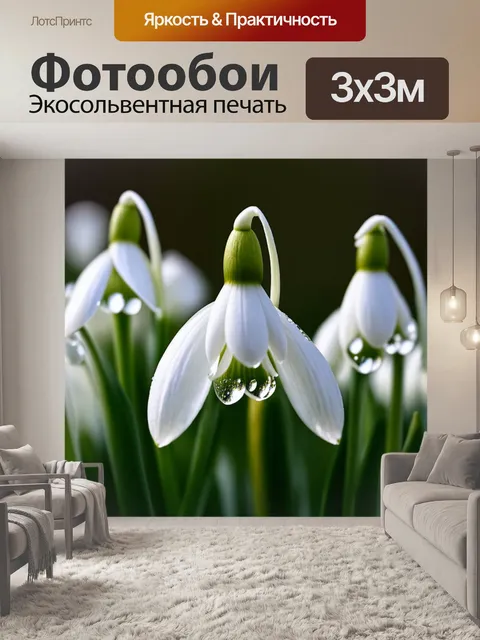 Фотообои макросъемка подснежников, показывающая детали их структуры: капли росы на лепестках и текстура стеблей
