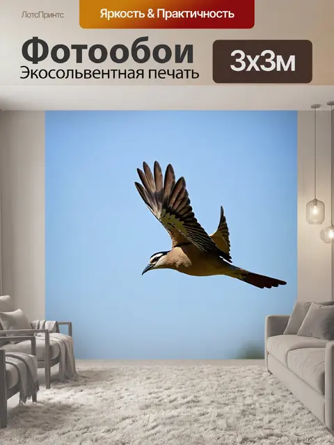 Фотообои птица, расправляющая перья под жарким солнцем, с текстурами и сиянием, выполненная в технике натурной…