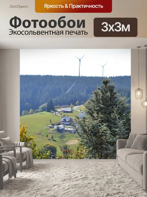 Фотообои Черный лес