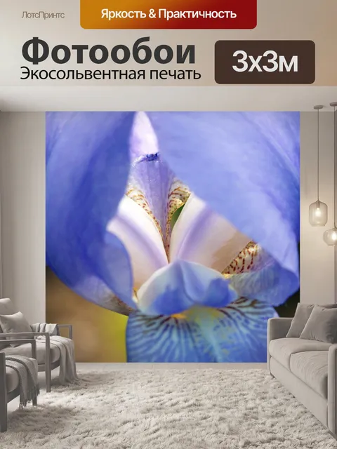 Фотообои Лаванда Iris
