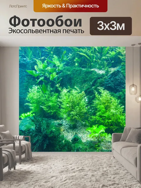 Фотообои Аквариумные растения
