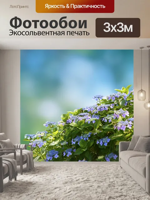 Фотообои Фиолетовый цветок гортензии