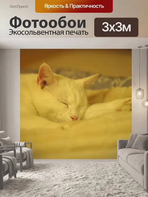 Фотообои Сплошной белый кот