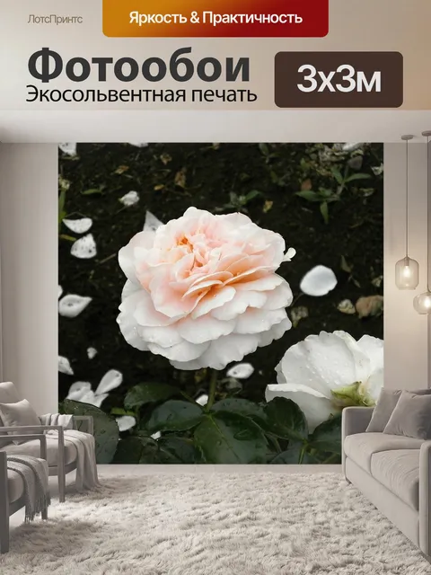 Фотообои Роуз