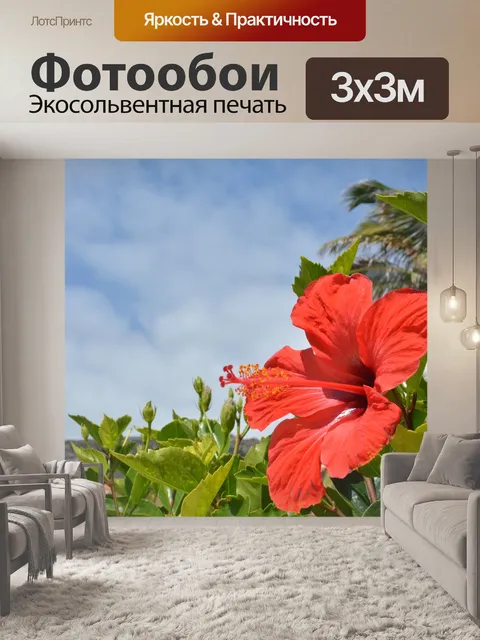 Фотообои Китайская роза