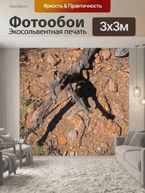 Фотообои Кусок сухой древесины