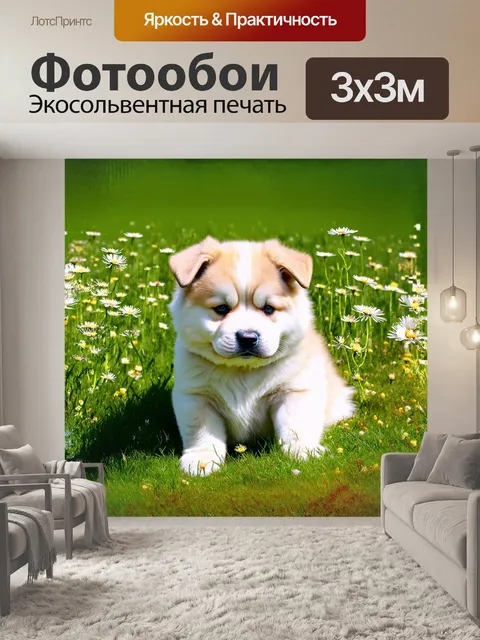 Фотообои в центре изображения находится американская акита, щенок с мягкой, пушистой шерстью
