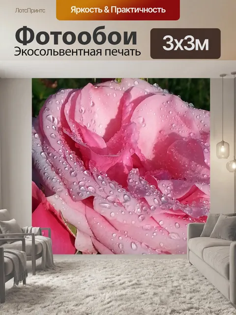 Фотообои Утренняя роса