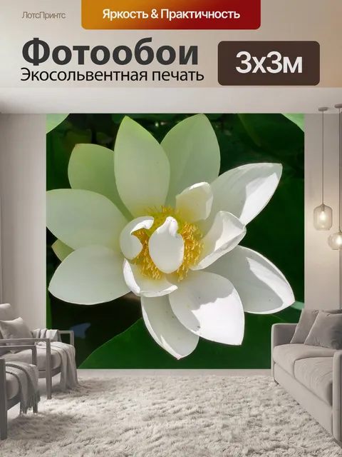 Фотообои Белый лотос