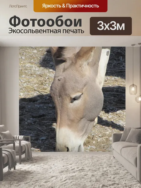 Фотообои Жопа