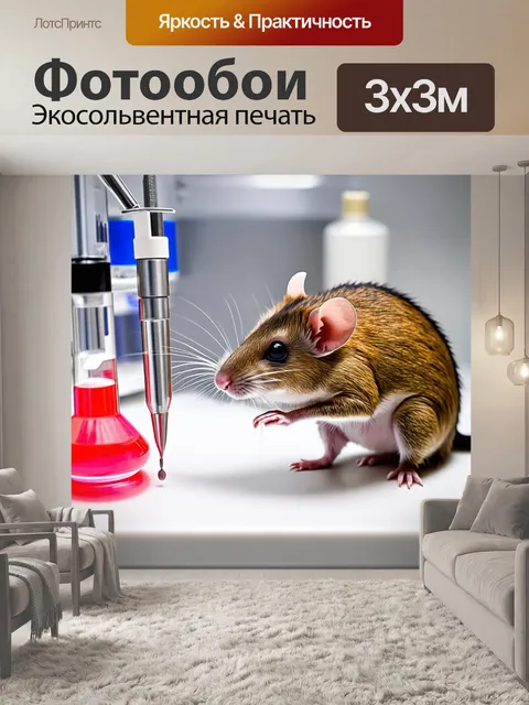 Фотообои крыса, ведет научный эксперимент в своей лаборатории, используя маленькие инструменты и предназначенные для…