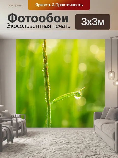 Фотообои Уронить