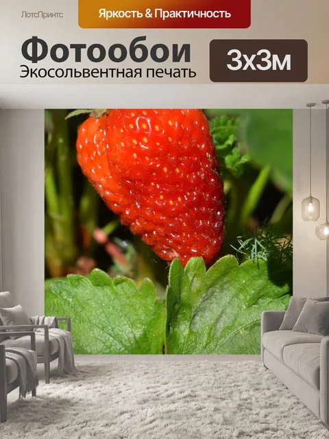 Фотообои Клубника