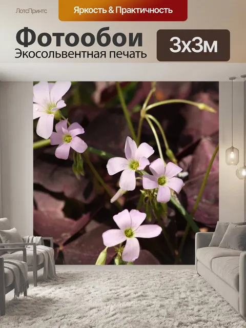 Фотообои Фиолетовые клеверы крупным планом