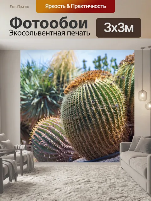 Фотообои Кактус Золотая бочка