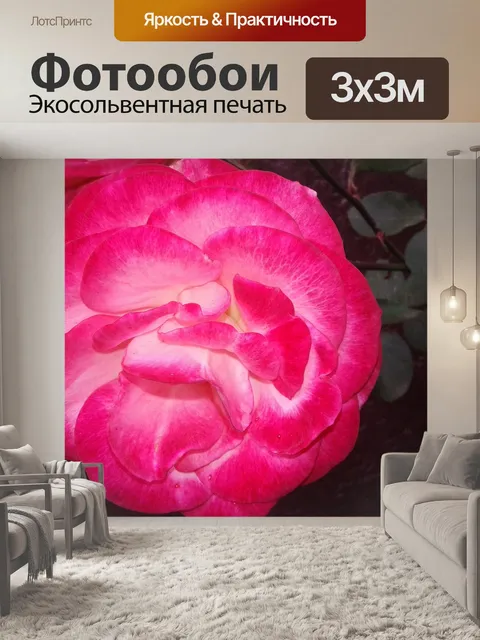 Фотообои Розы