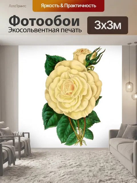 Фотообои Винтаж цветок розы цветок