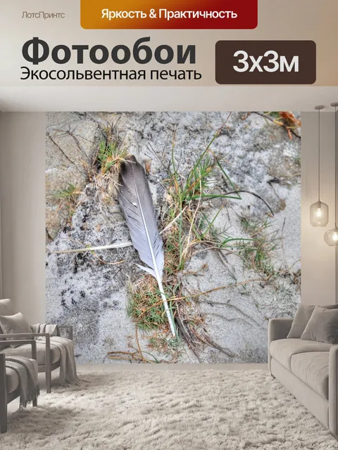 Фотообои Перо в песке