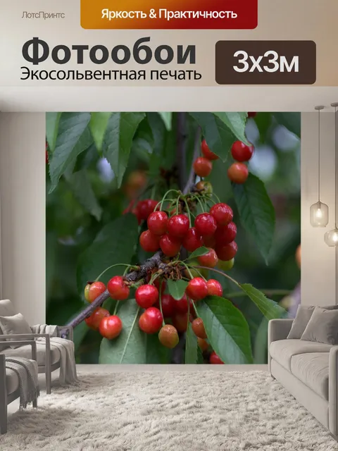 Фотообои Вишня