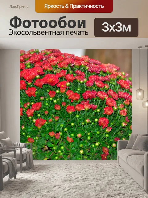 Фотообои Красные Мамы
