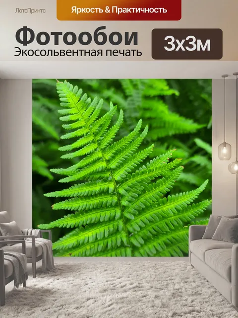 Фотообои Зеленый лист папоротника