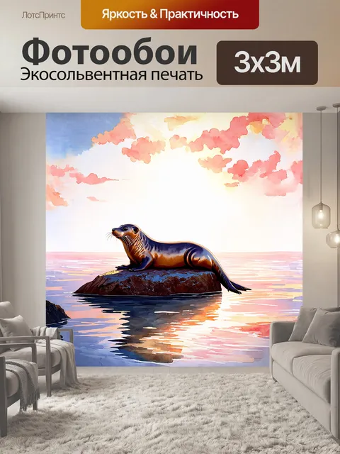 Фотообои в кадре уютно расположился тюлень, мирно отдыхающий на крупном, гладком камне в лучах закатного солнца