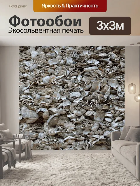 Фотообои Ракушечник Корпуса