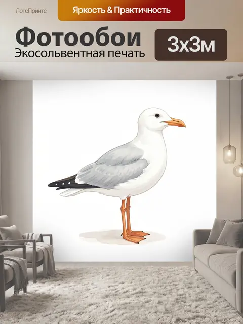 Фотообои Морская чайка на белом фоне