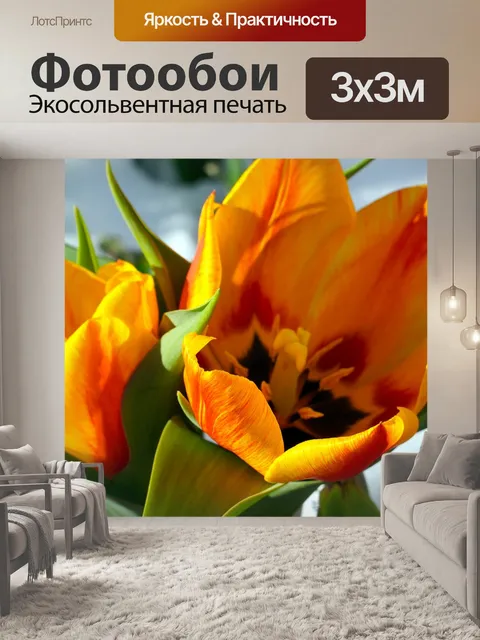 Фотообои Цветы