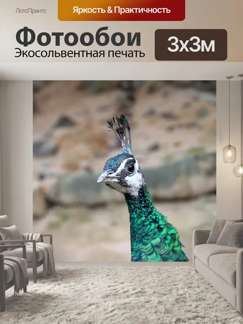 Фотообои Павлин