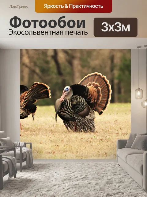 Фотообои Два Тома Турция в поле