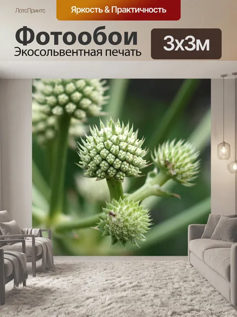 Фотообои Природа