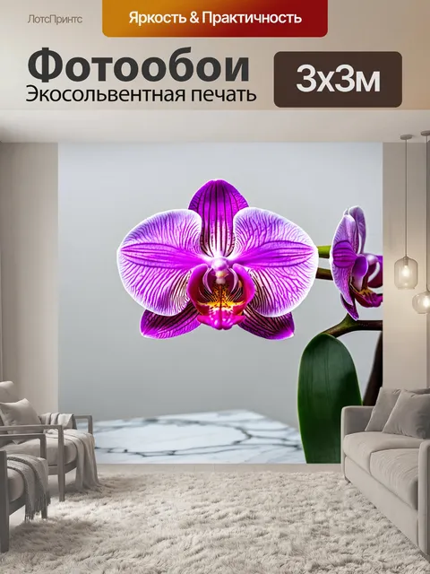 Фотообои орхидея на фоне глянцевого мрамора, элегантная эстетика