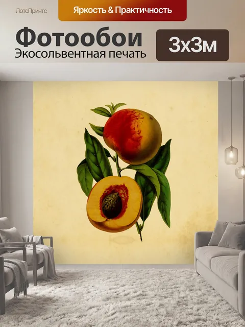 Фотообои Нектарины Vintage Art