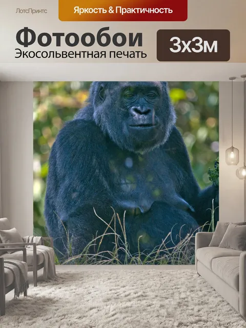 Фотообои горилла