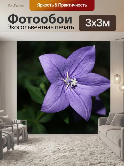 Фотообои Цветок