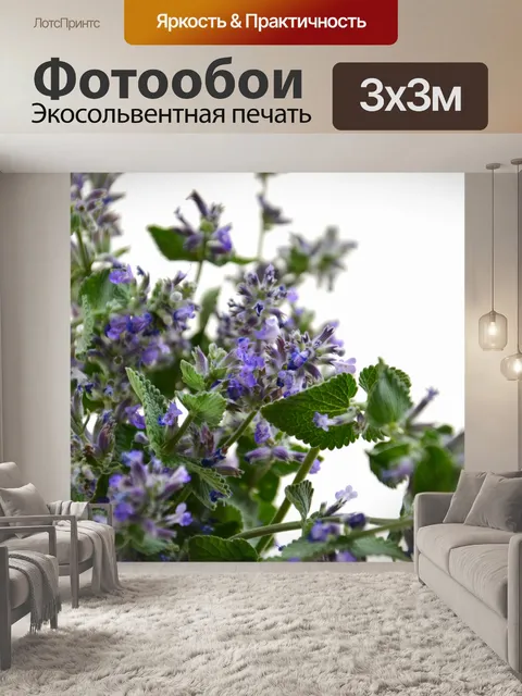 Фотообои Цветы кошачьей мяты