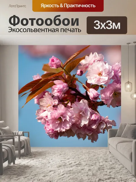 Фотообои Цветение, японская цветущая вишня, дерев