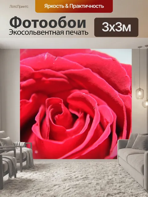 Фотообои Роза