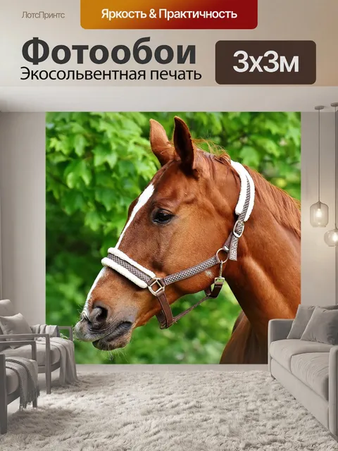 Фотообои Лошади