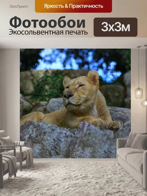 Фотообои Лев