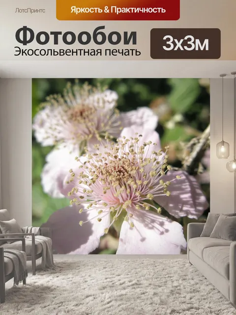 Фотообои Цветы