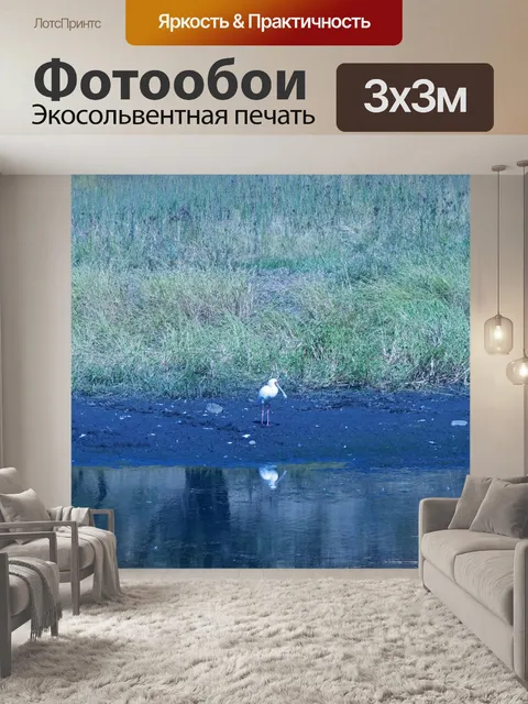 Фотообои африканская колпица на берегу плотины