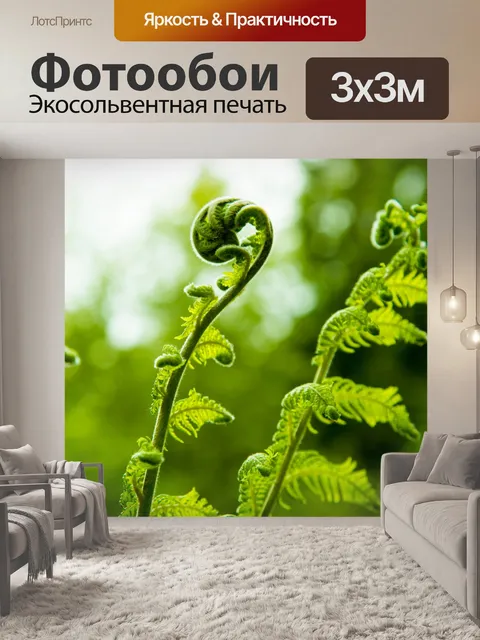Фотообои папоротник