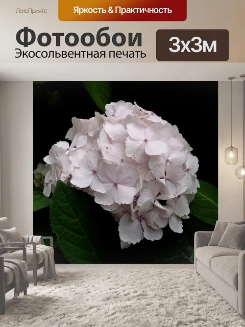 Фотообои Гортензия